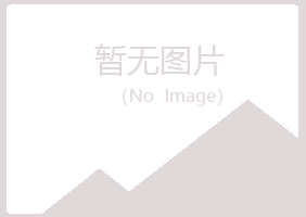 安图县掠过美容有限公司